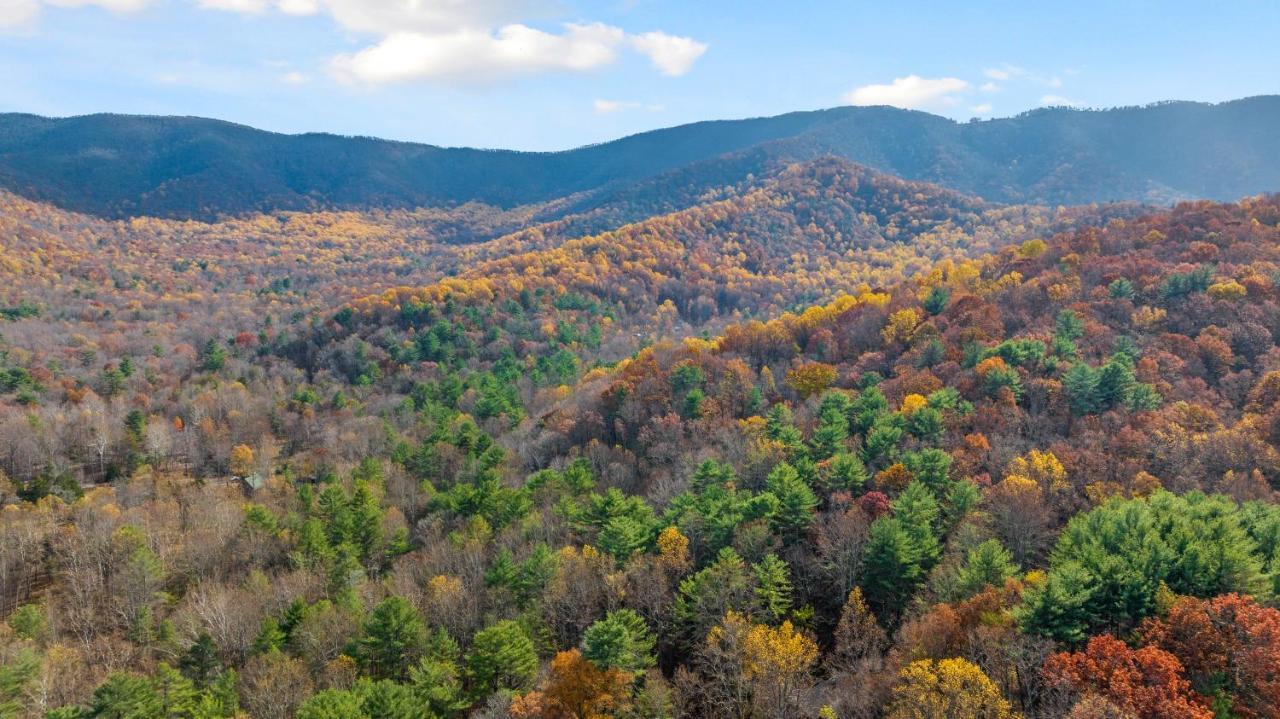 Sleepy Hollow 5Br Cabin - National Park 7 Min, Hot Tub, Fire Pit, Sleeps 12 Luray Buitenkant foto